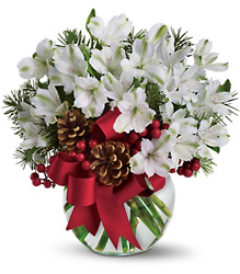 Let It Snow from Chillicothe Floral, local florist in Chillicothe, OH